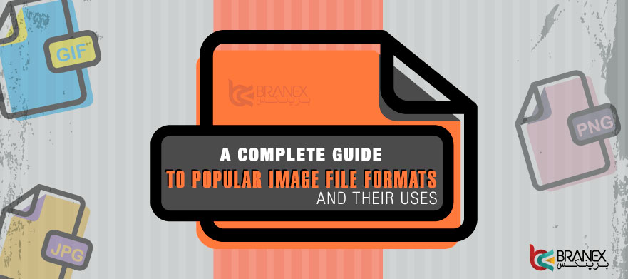 A Complete Guide to Popular Image File Formats and their Uses