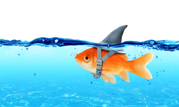 misleading website design mistakes