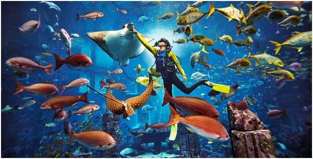 things to do in Dubai - 4 - Branex Dubai