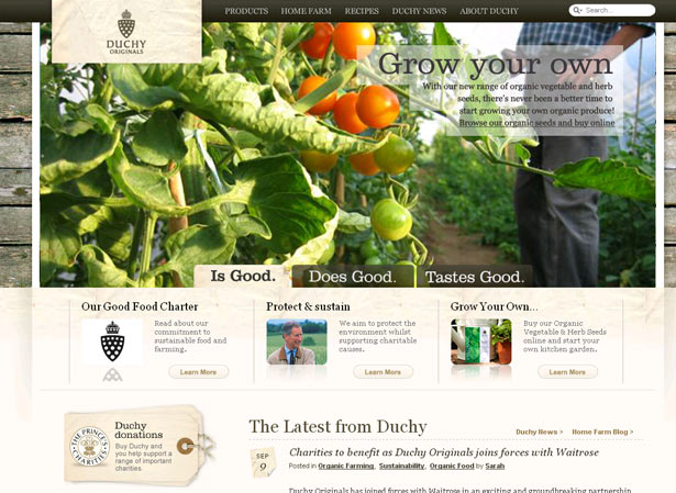 10 year challenge web design 3