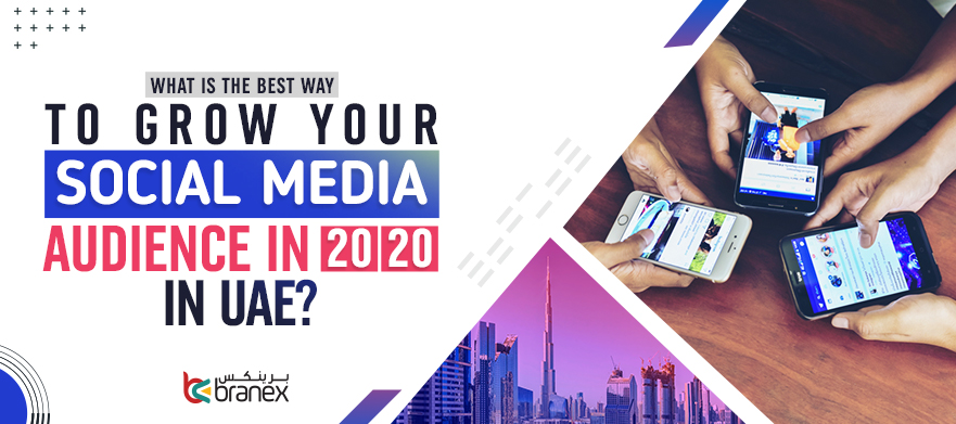 What is the Best Way to Grow Your Social Media Audience in 2020?